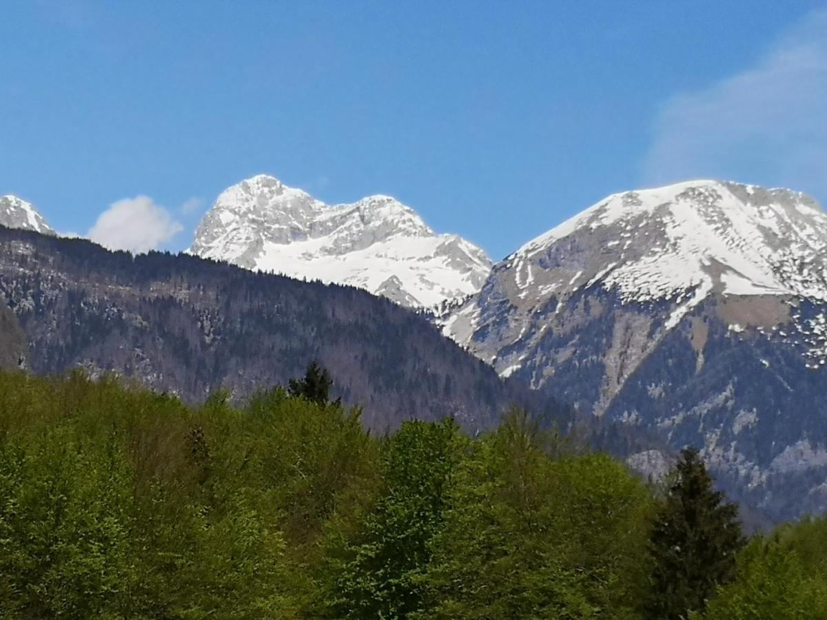Apartmaji Prezelj Bohinj Buitenkant foto
