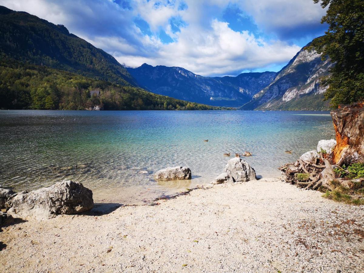 Apartmaji Prezelj Bohinj Buitenkant foto