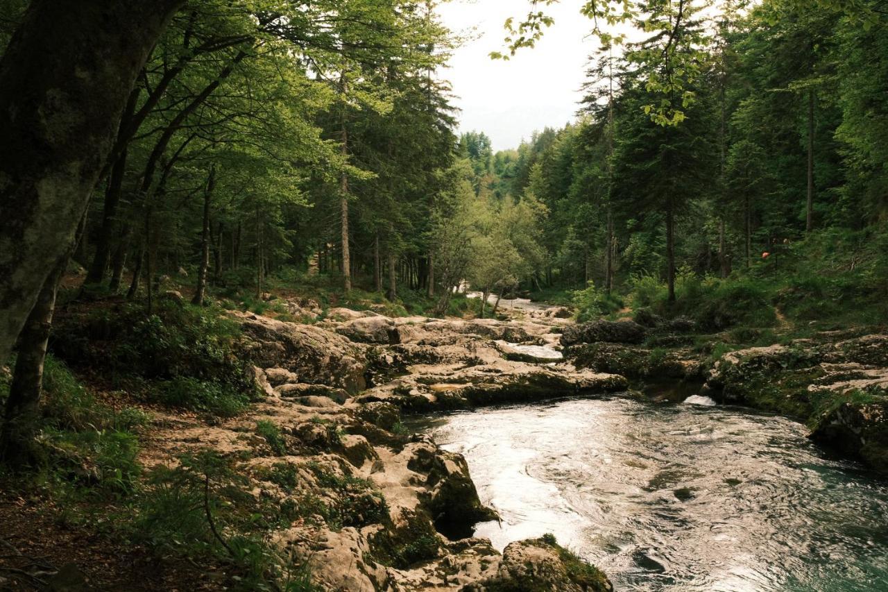 Apartmaji Prezelj Bohinj Buitenkant foto