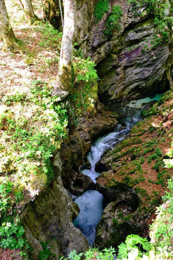 Apartmaji Prezelj Bohinj Buitenkant foto